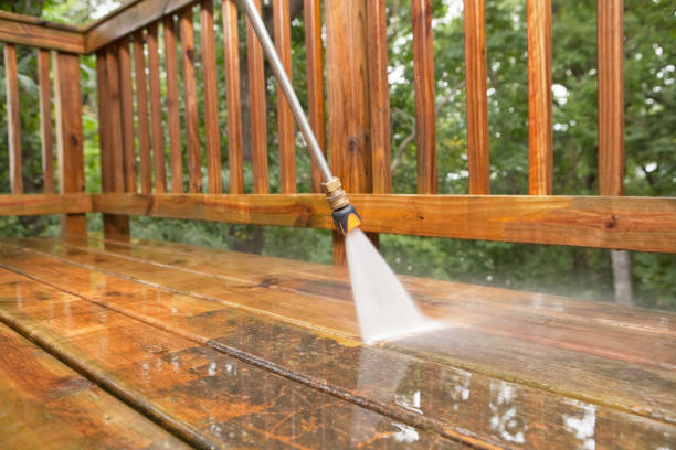 Best Pressure Washing Services Near Me  in Newburg, WI